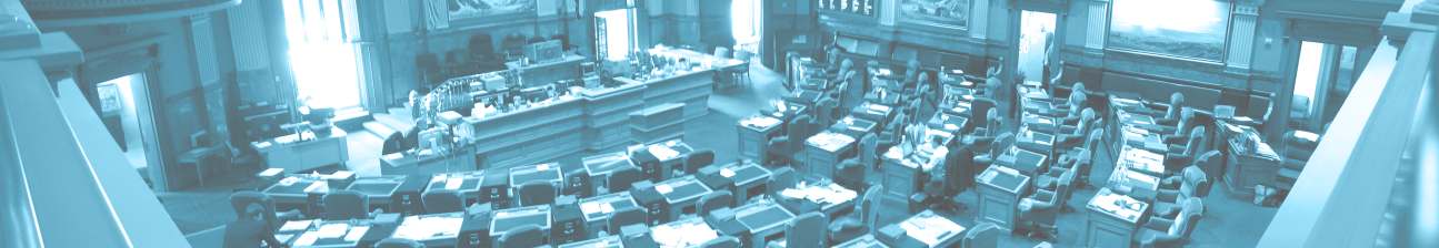 Government Services
